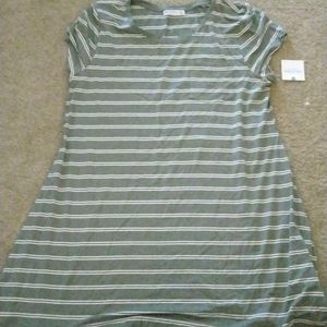 Green Stripe Dress